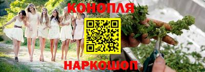 дживик Моздок